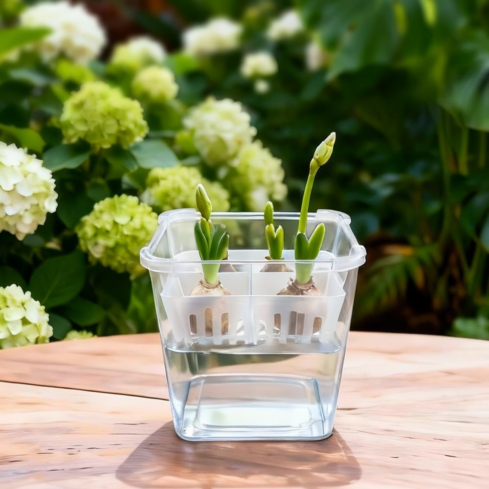 Vas Hidroponik untuk Bunga Tul - Vase Decor ulasan dan harga